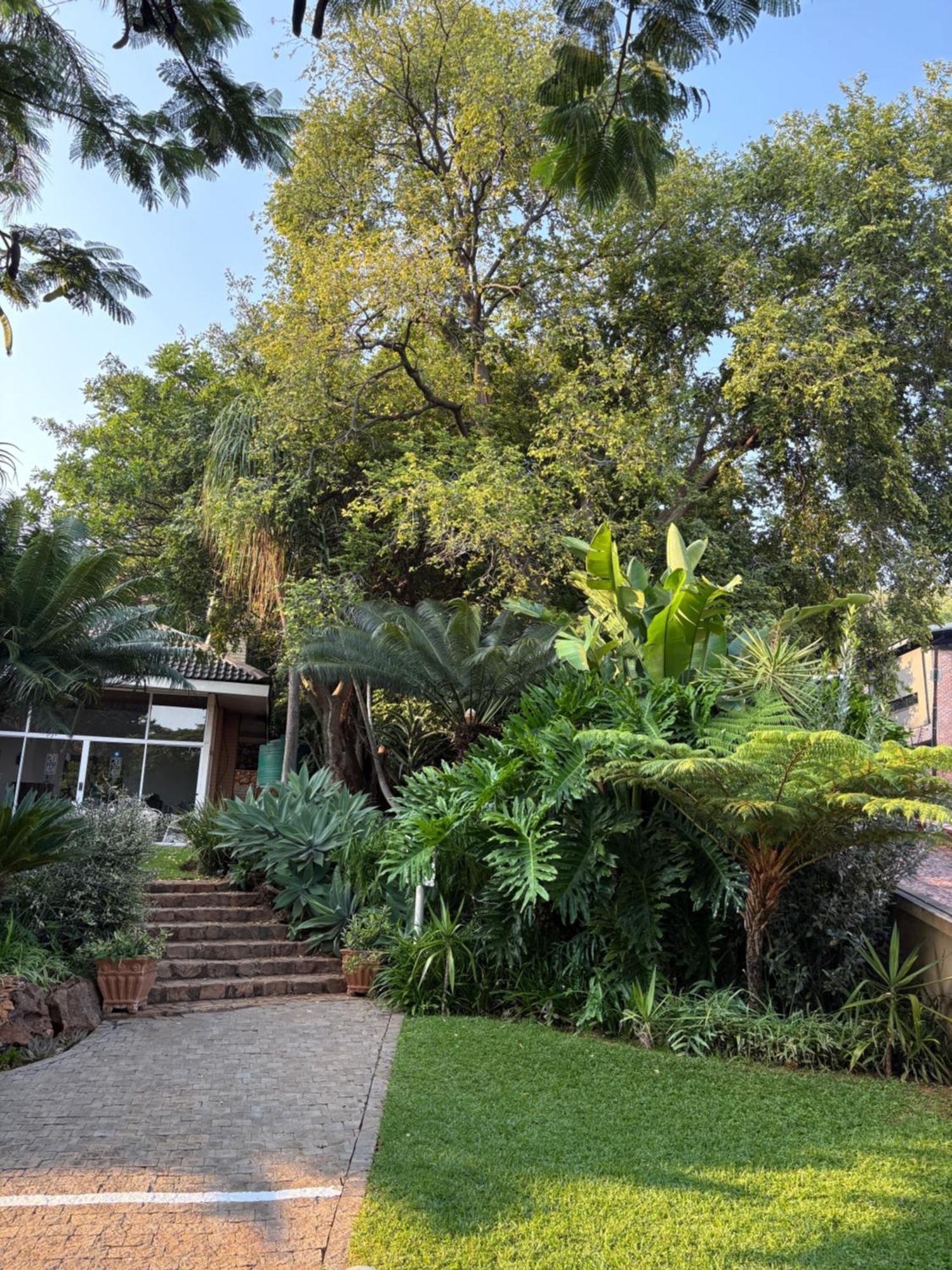 Luxury Upmarket Guesthouse 20 On 4Th Rustenburg Exteriér fotografie